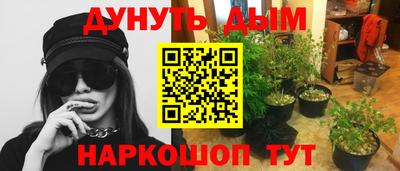 гидропоника Севастополь