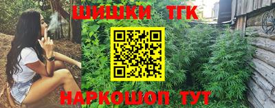 индика Северобайкальск