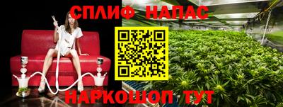 гидропоника Севастополь