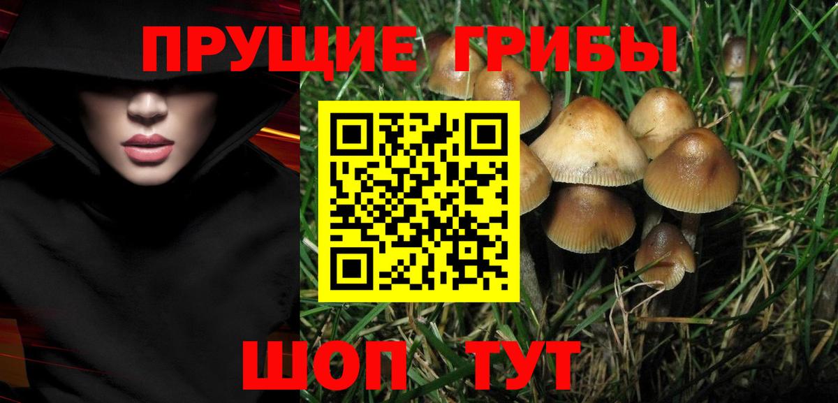 Галлюциногенные грибы Magic Shrooms  Вход с VPN  Баксан 